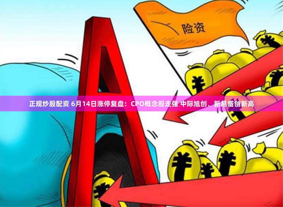 正规炒股配资 6月14日涨停复盘：CPO概念股走强 中际旭创、新易盛创新高