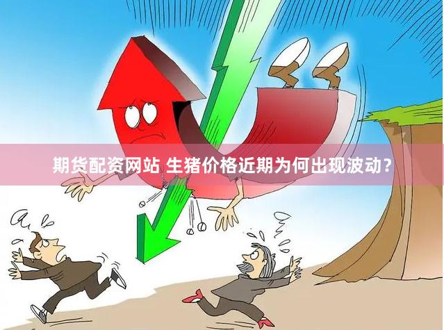 期货配资网站 生猪价格近期为何出现波动？