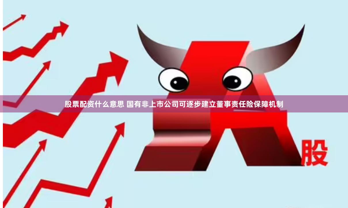 股票配资什么意思 国有非上市公司可逐步建立董事责任险保障机制