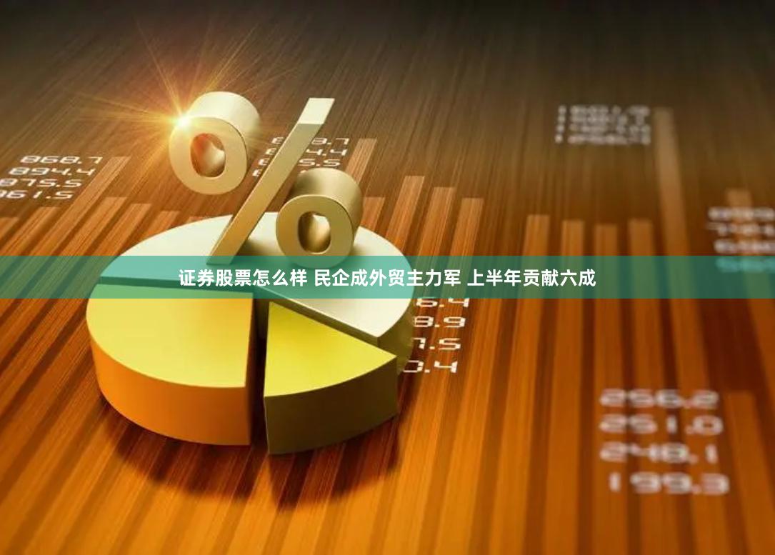 证券股票怎么样 民企成外贸主力军 上半年贡献六成